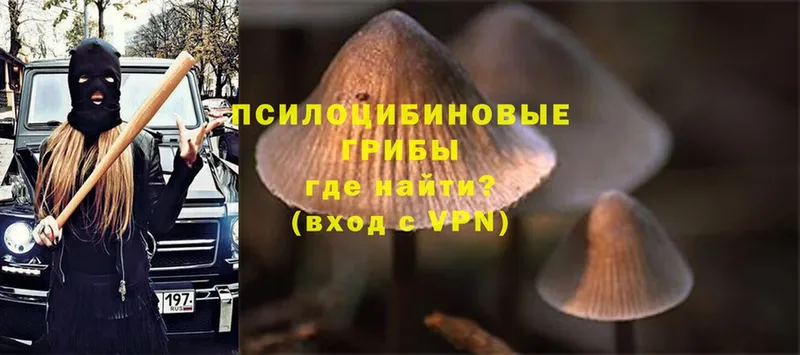 Псилоцибиновые грибы Magic Shrooms  Кыштым 